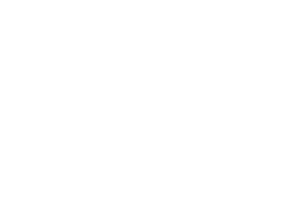 Eagle King